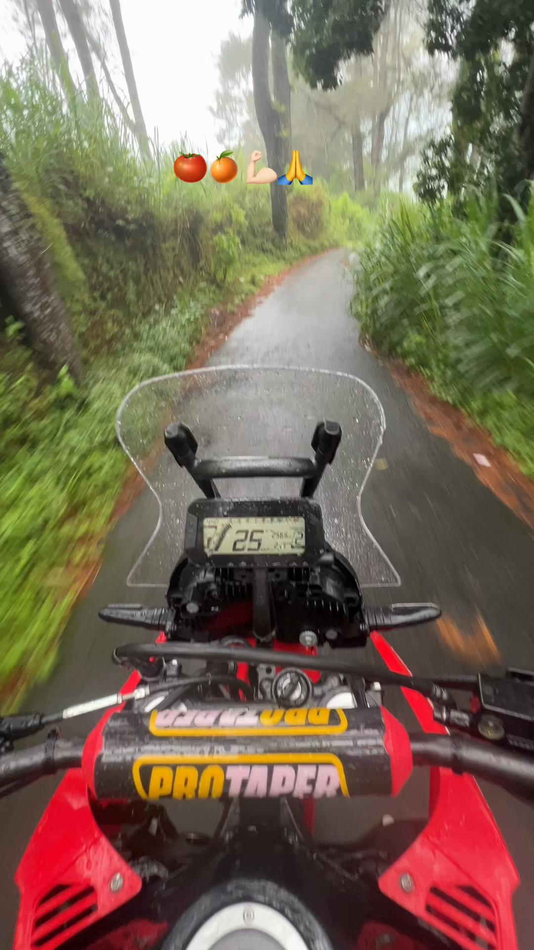 @Anakpetani🍊