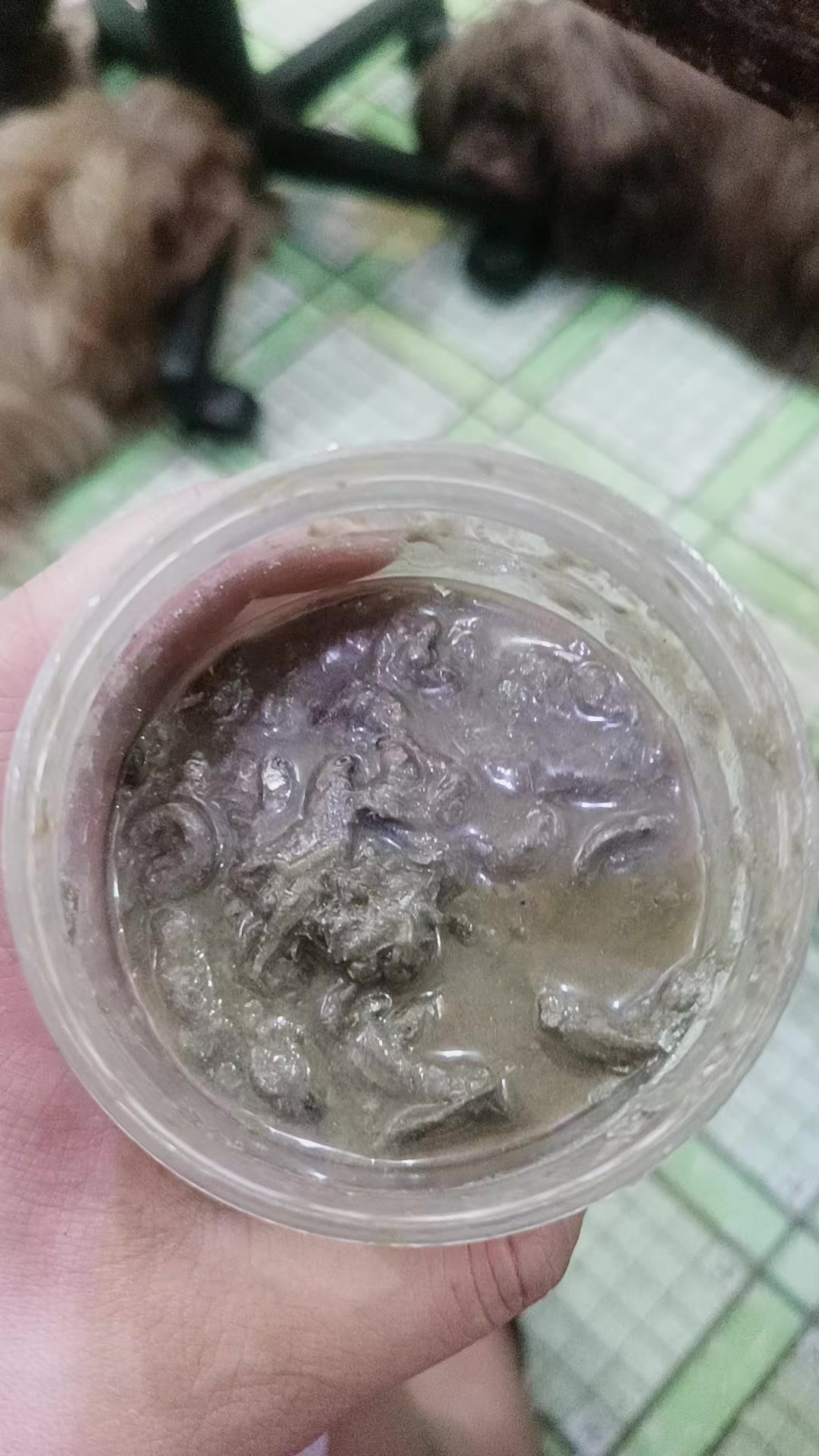 @angelkho25🧿