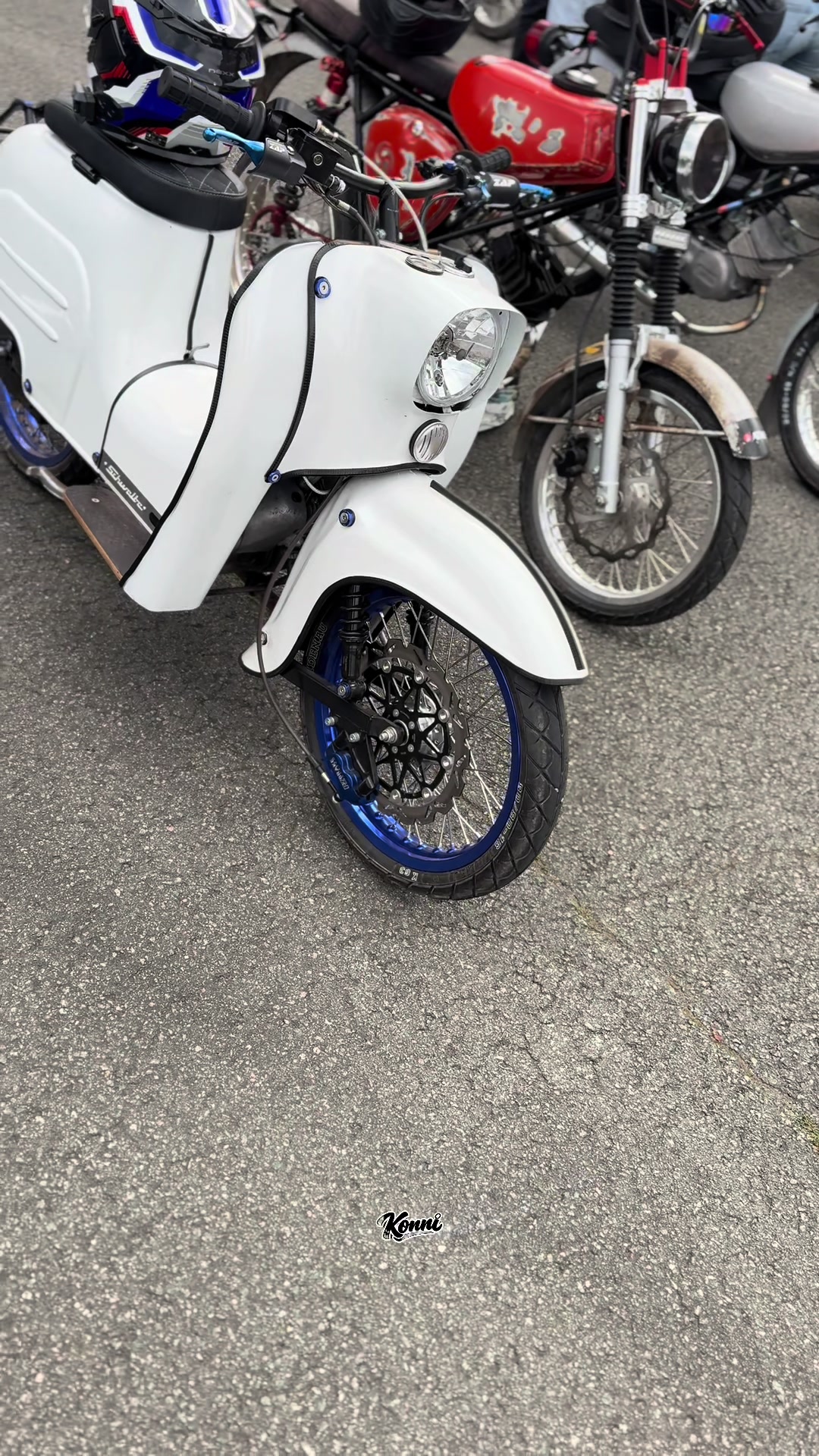@schwalben.konrad