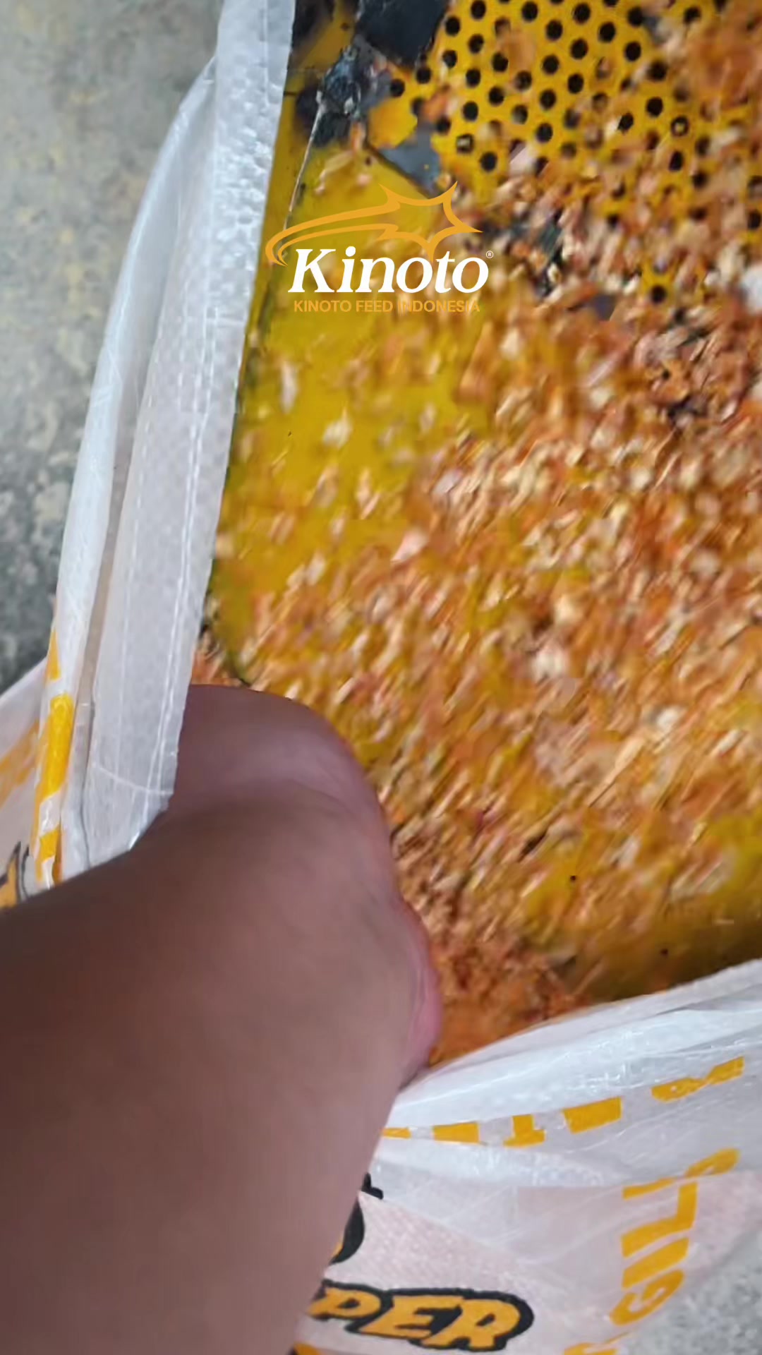 @CV. KINOTO FEED INDONESIA