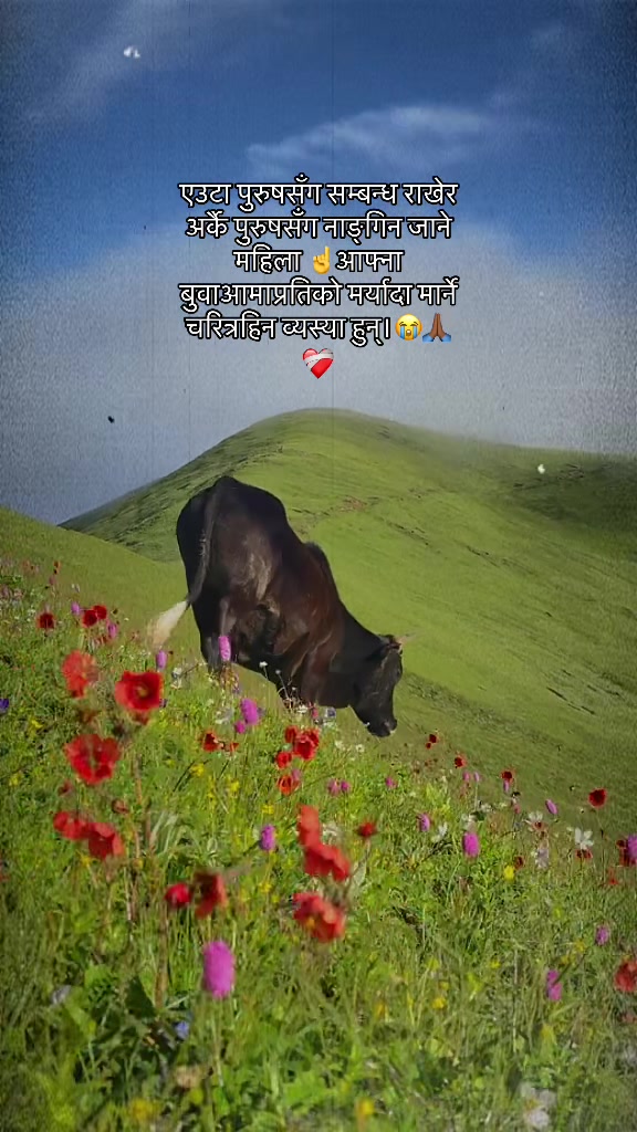@मनछुनेलाईनहरू🥺