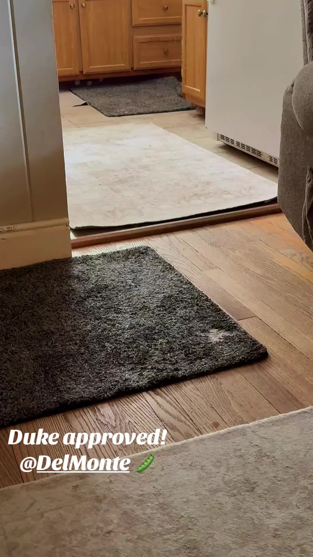 @lifewithduke2025