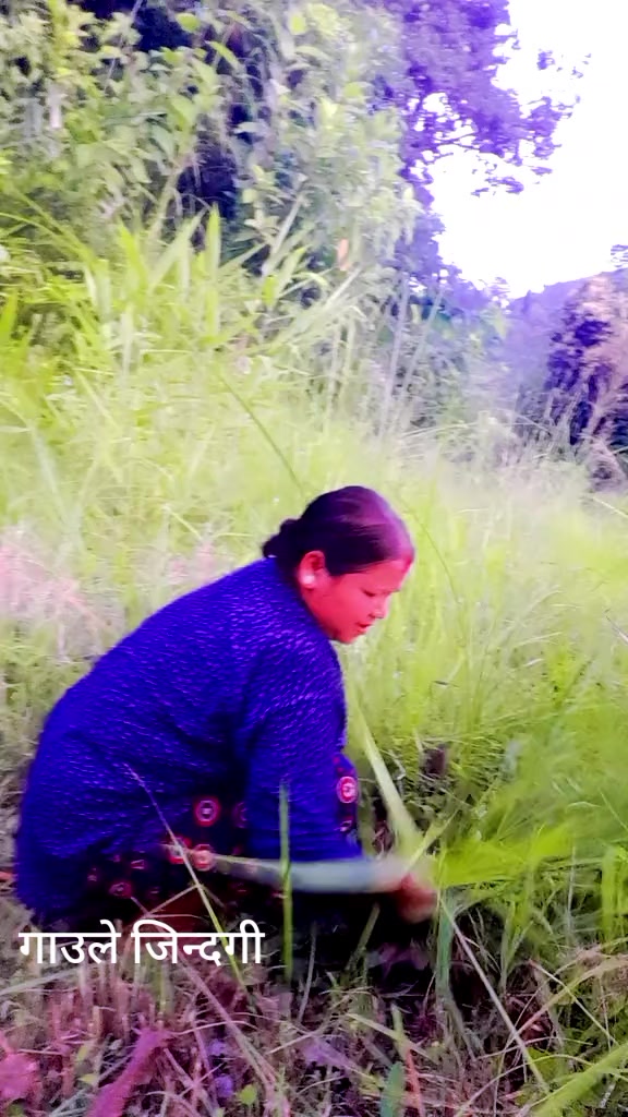 @Bishnumayabhat