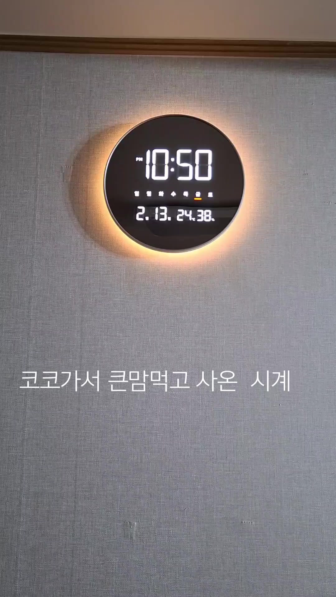 @시골콩콩이