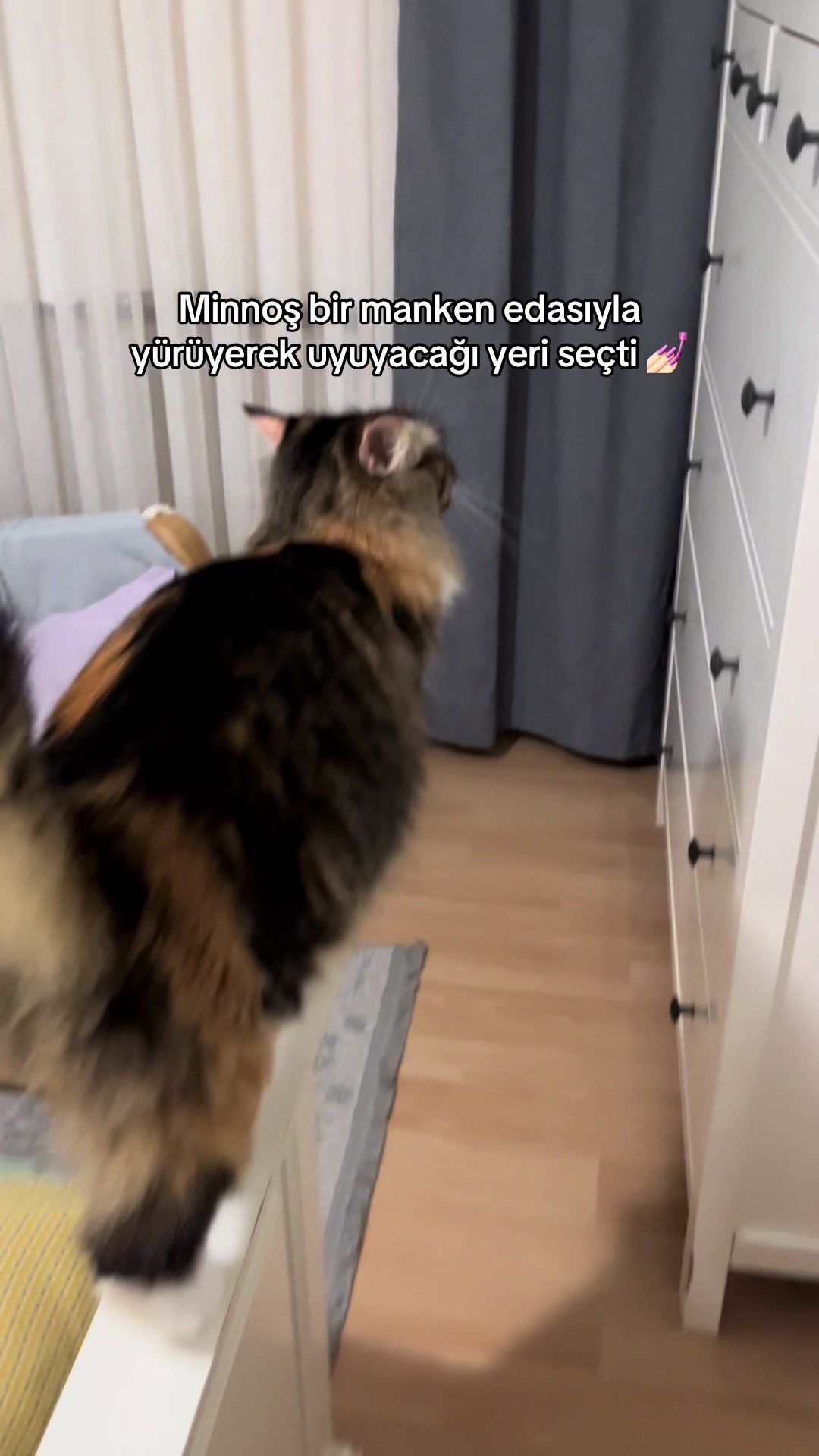 @konusankediminnos