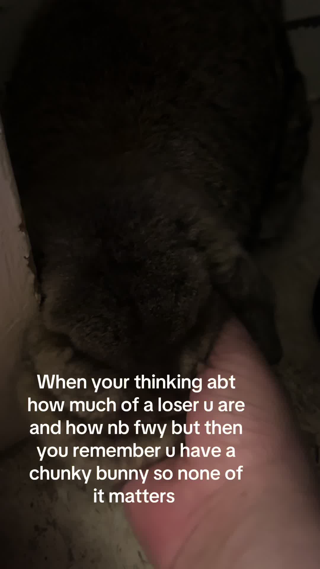 @Fadedbunny69