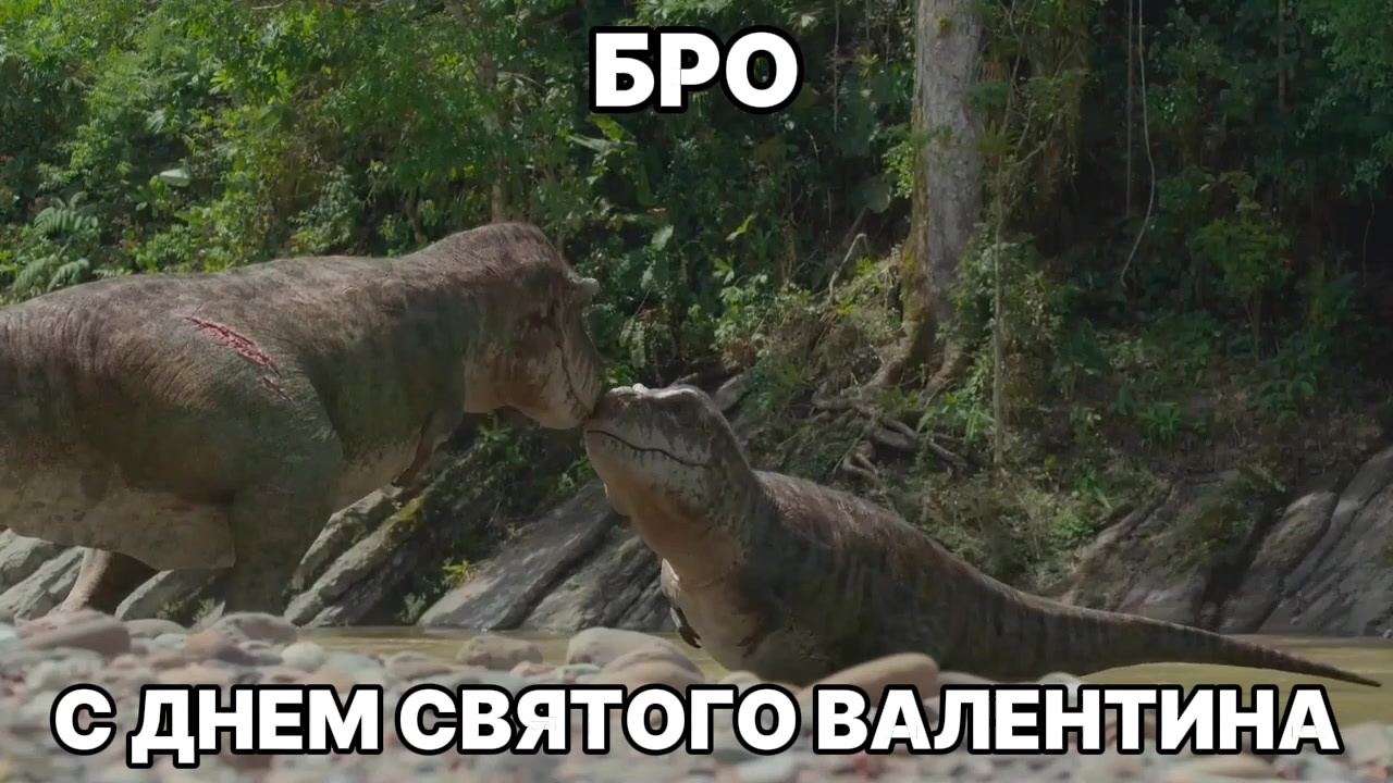 @Acrolog🦎🌱