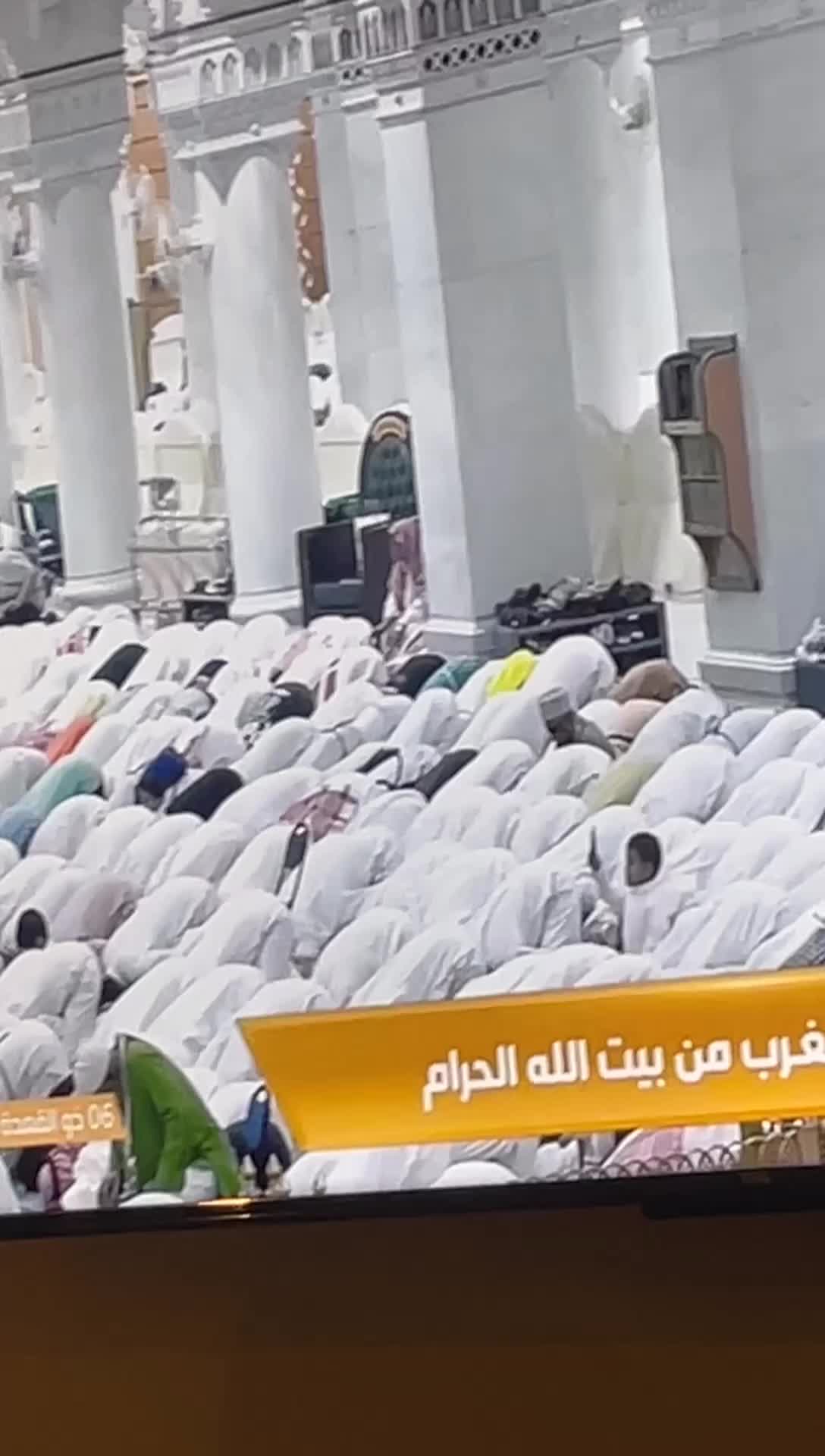 @يوميات وليد و آيه