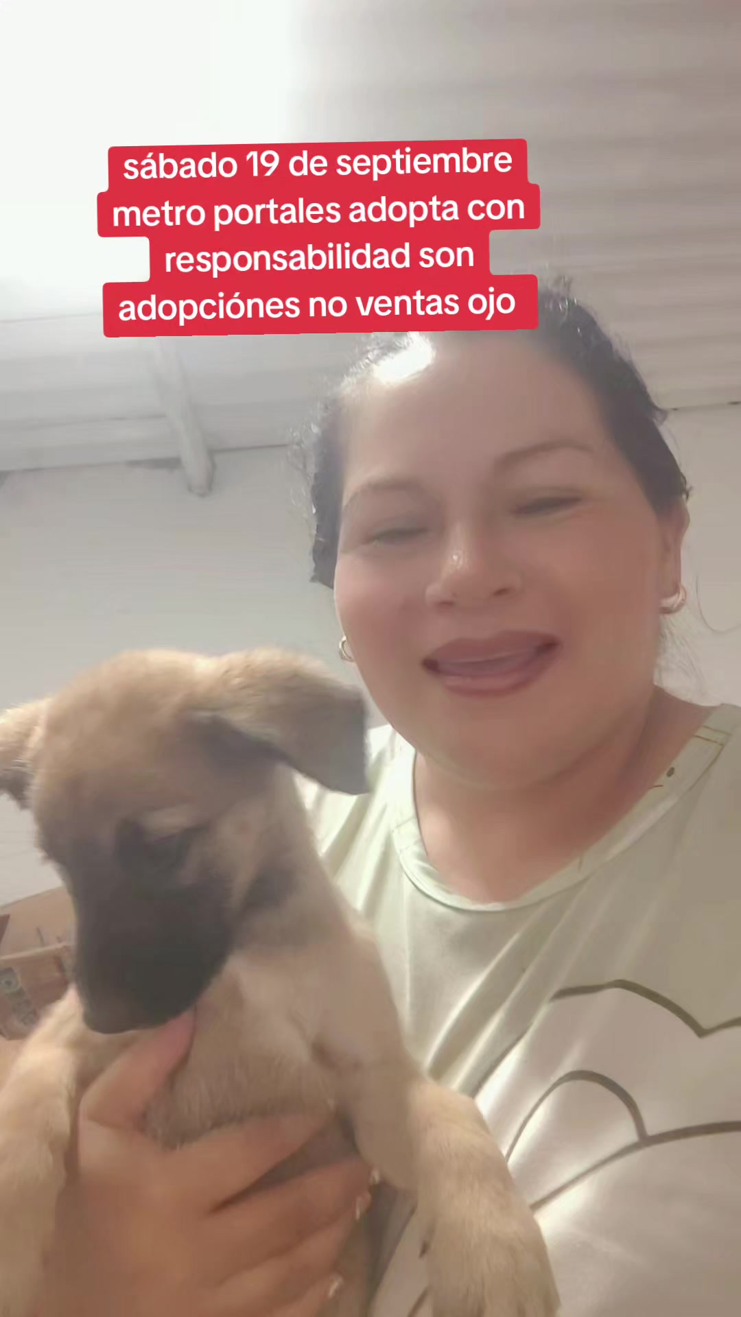@rescate de perros guapos 😚