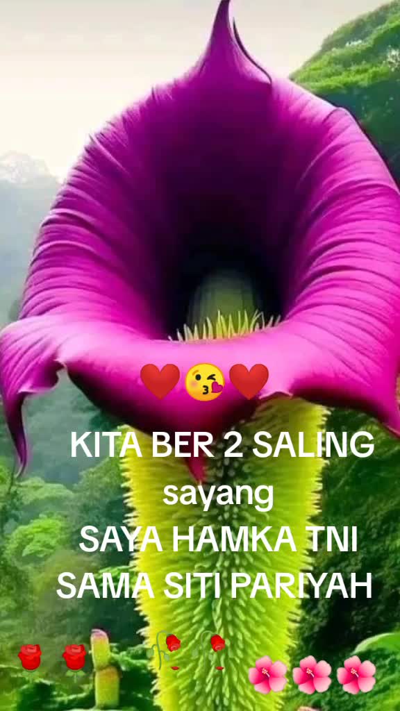 @sitipariyah23