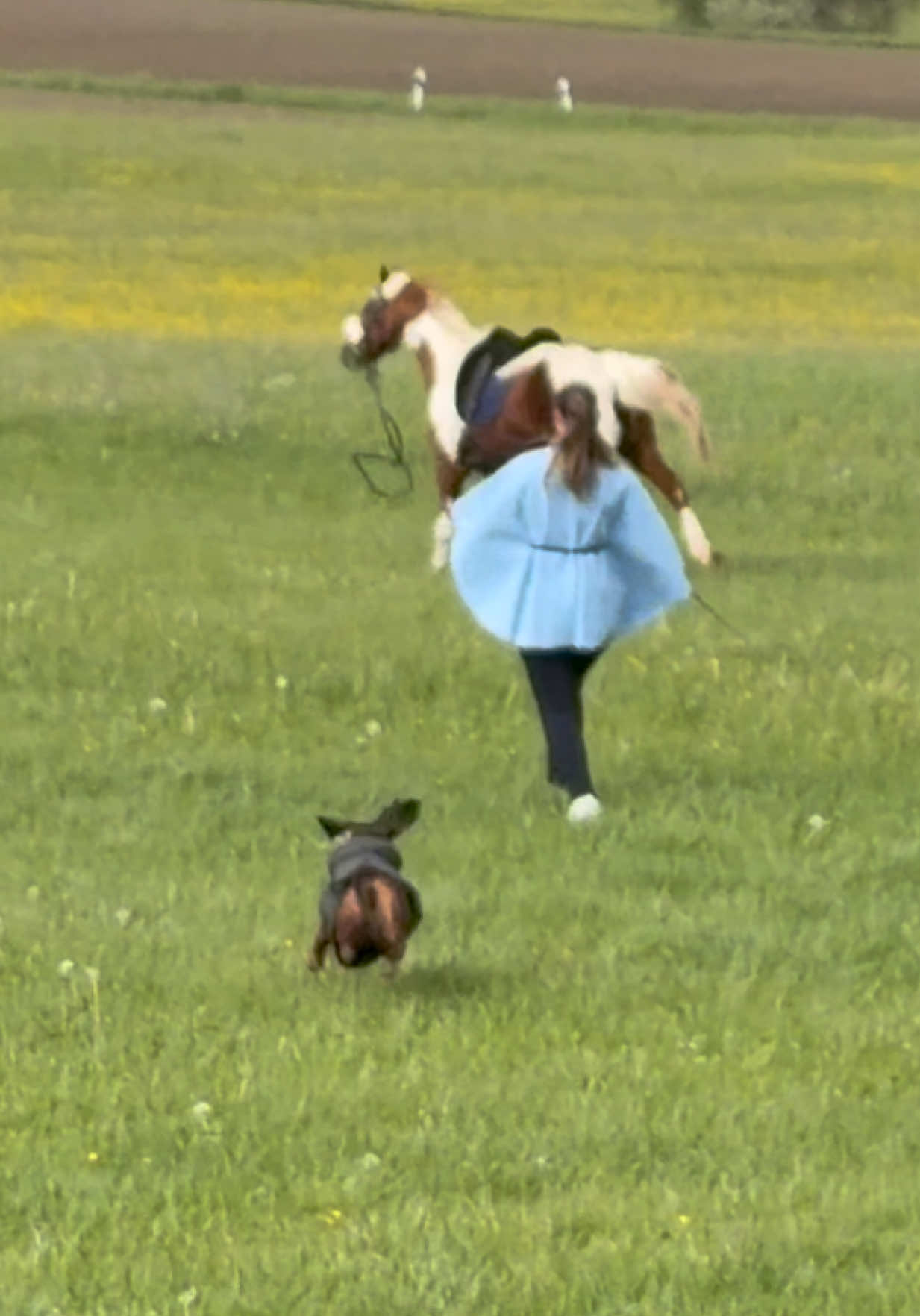@Letynnxhorses