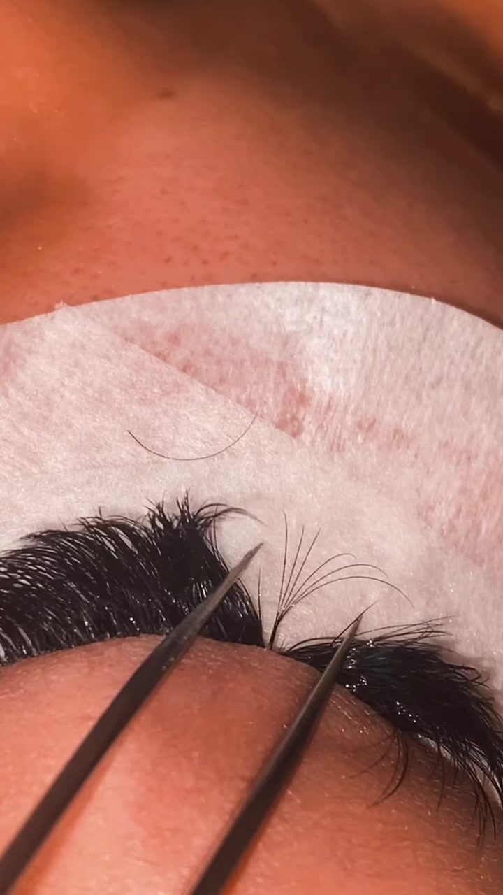 @TLClashes &bull; 208 lash artist💎