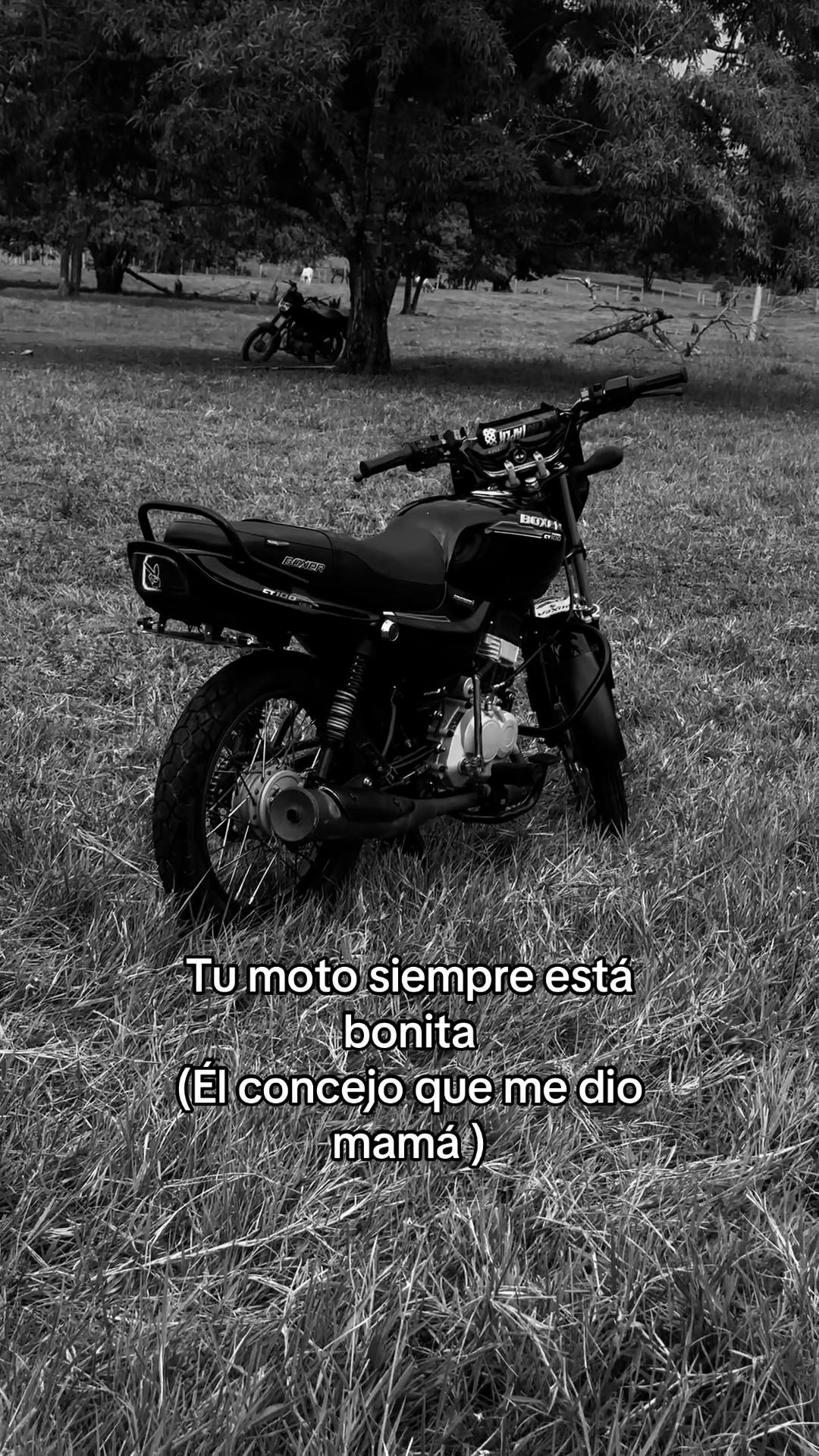 @Jose🦦