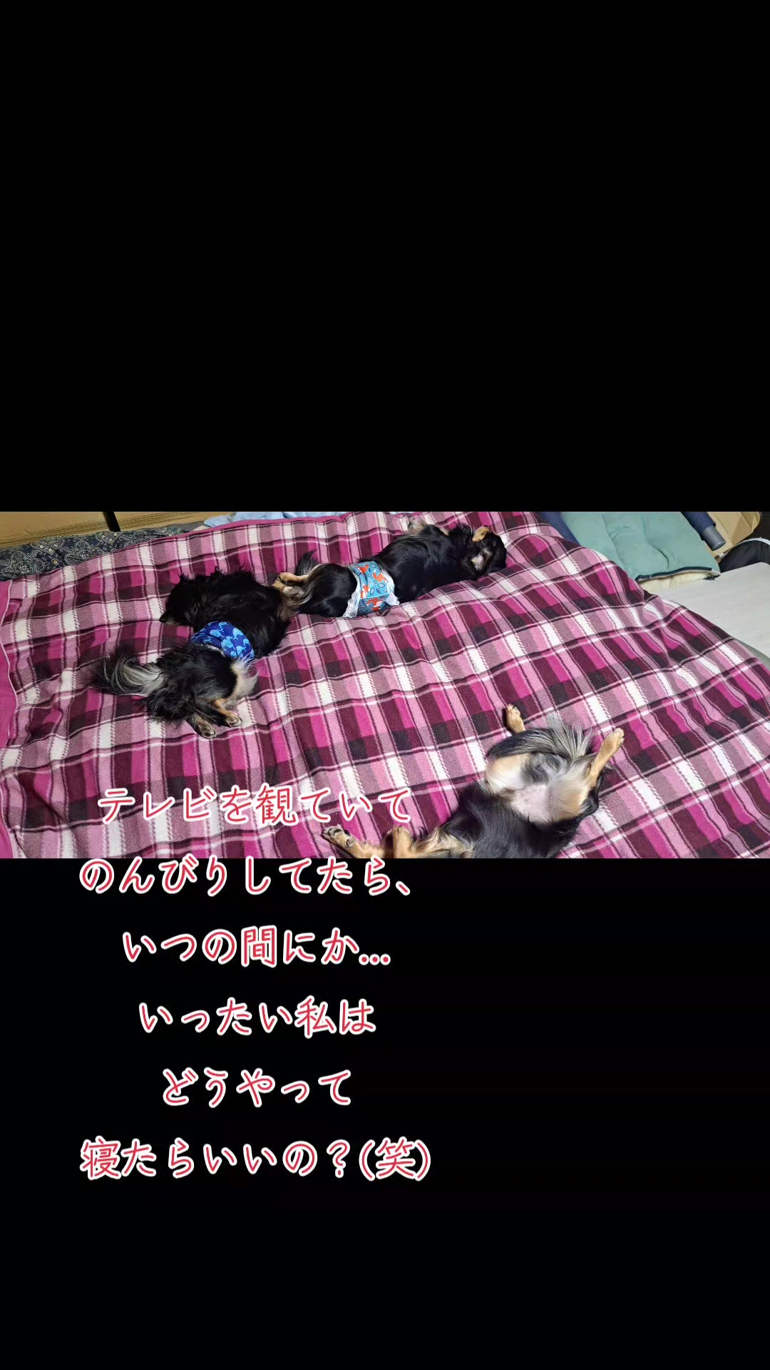 @タケヤッコ