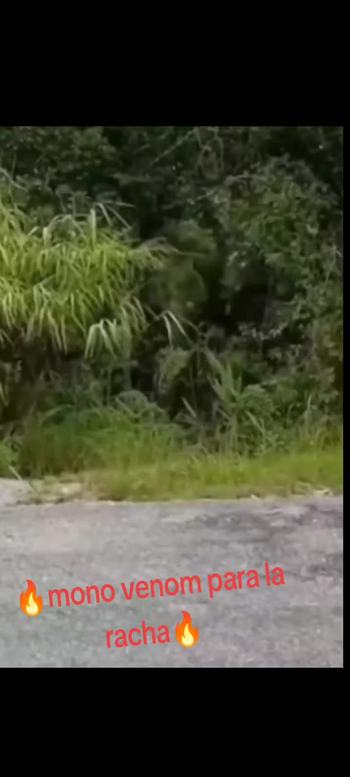 @JavierCantú
