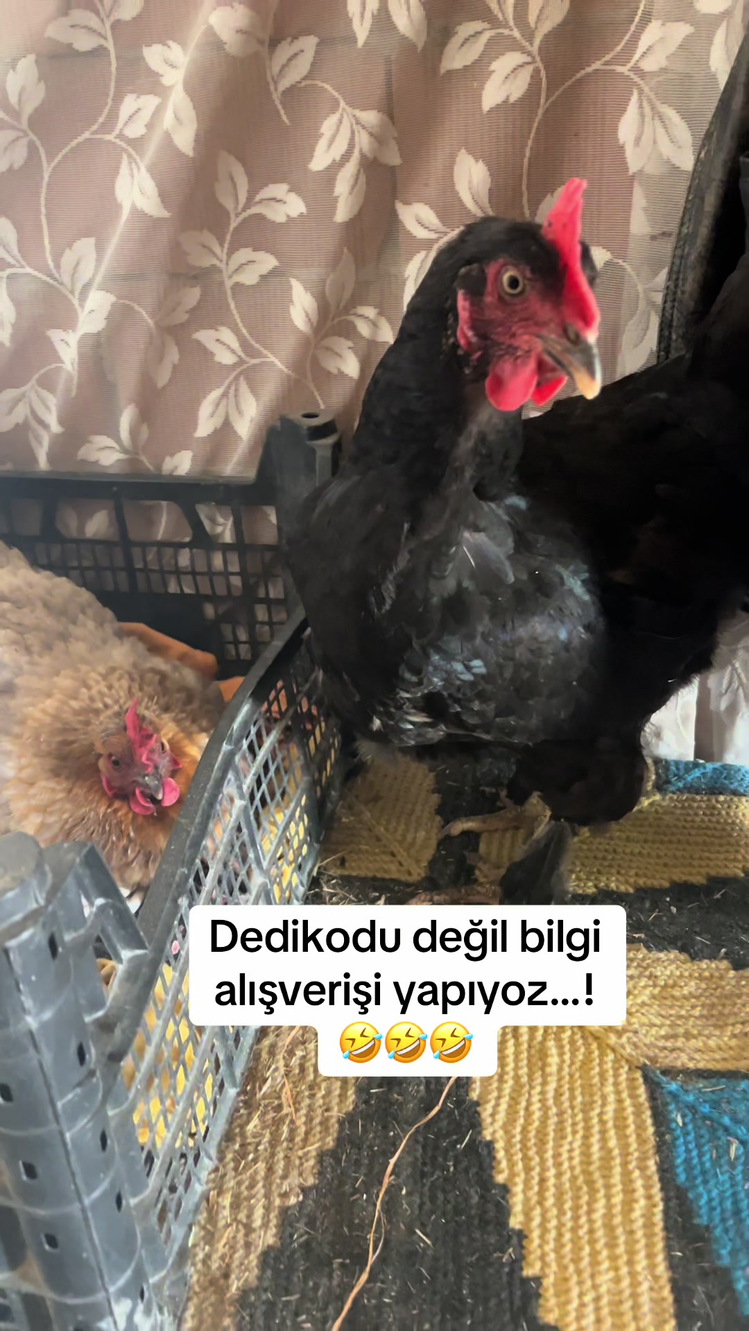@GÜMÜŞ