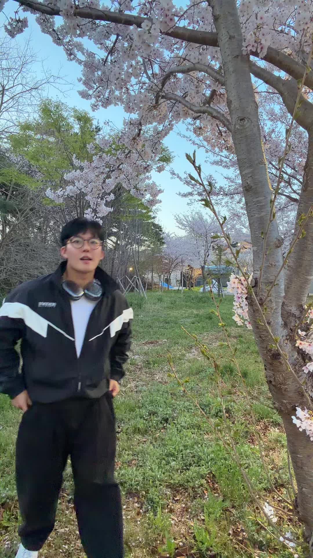 @🐬모사마 MOSAMA🐬