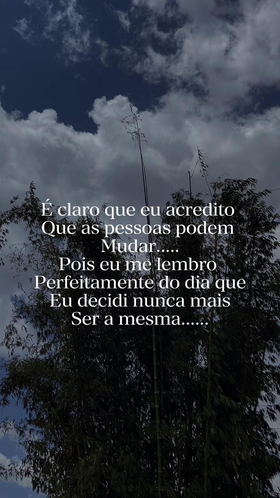 @Saniel.Monteiro.031