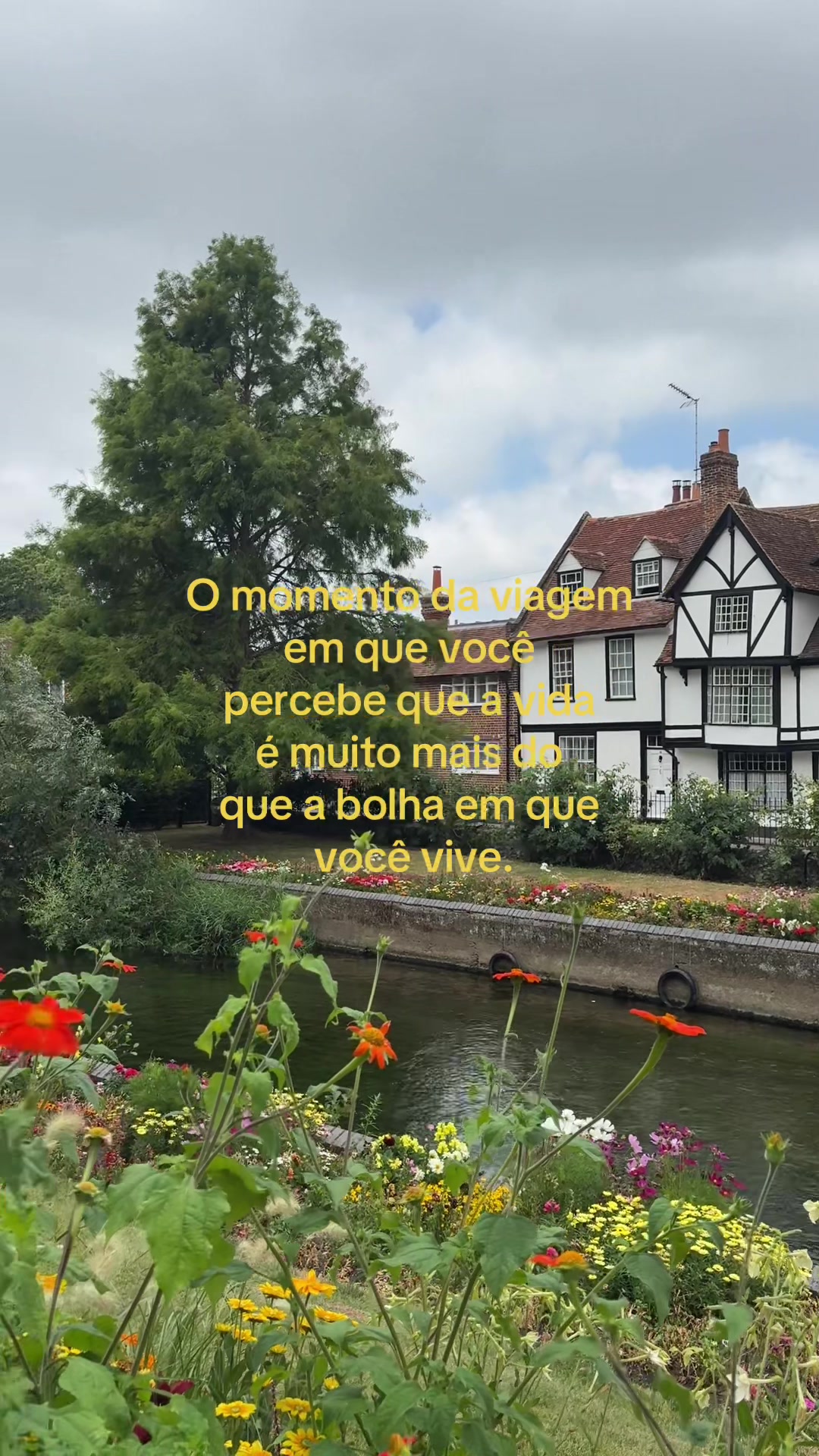 @Ana Leticia