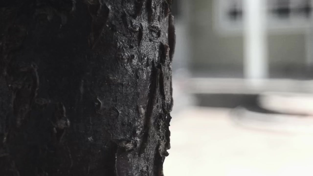 @﮼حەمۆی | 🇩🇪ᗷᗰᗯ