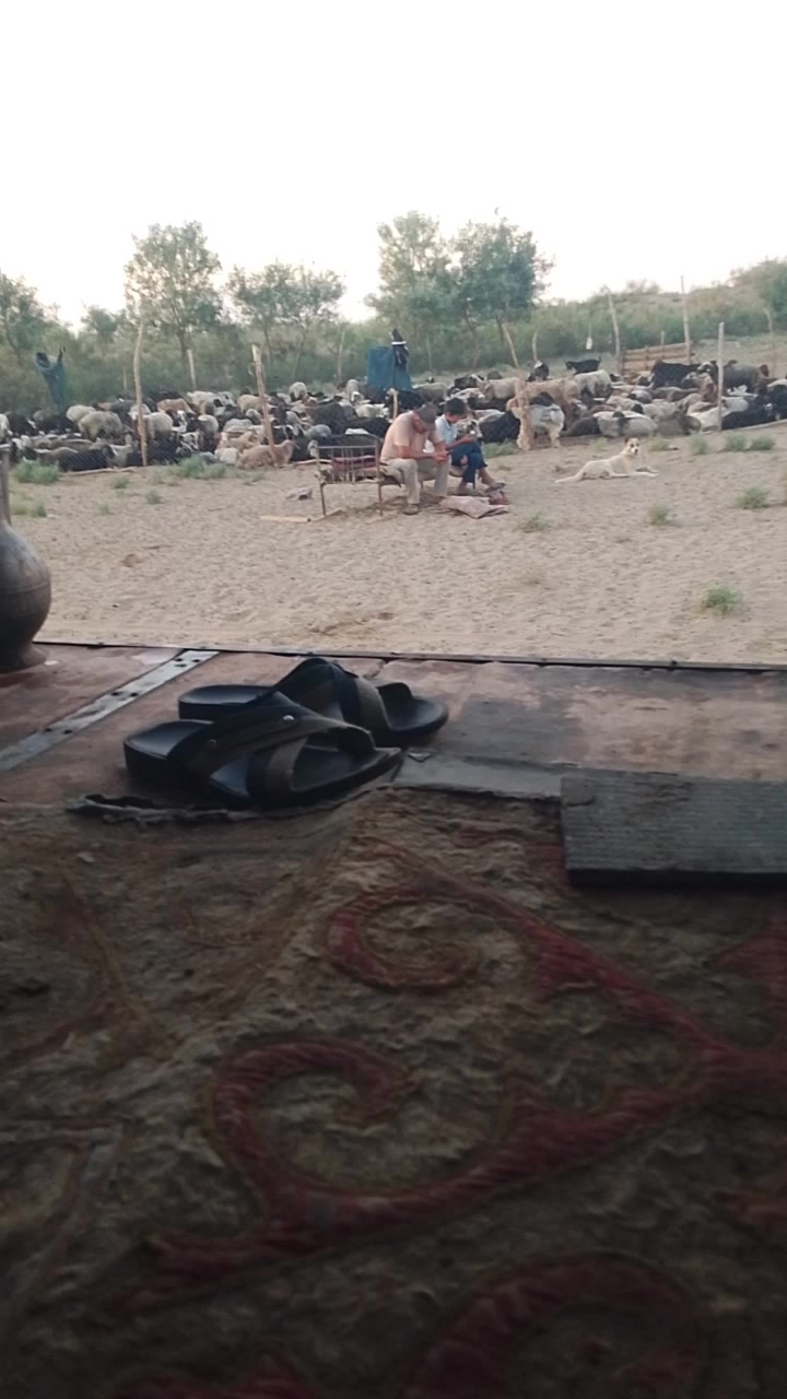 @Kayrat Axmedov