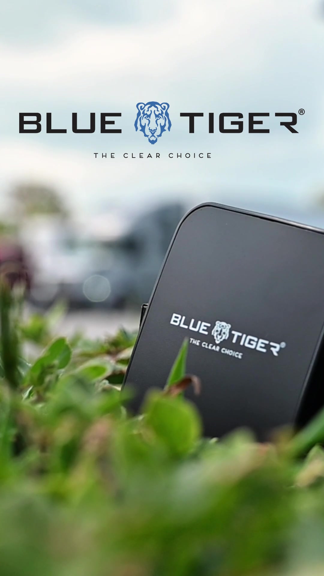 @Blue Tiger
