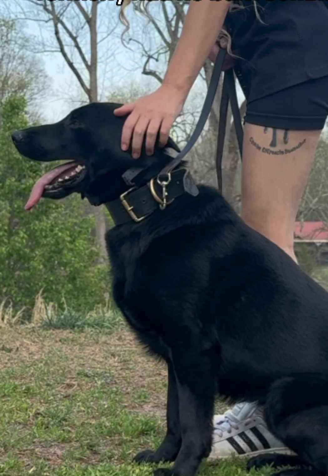 @True Guard K9 I Tara