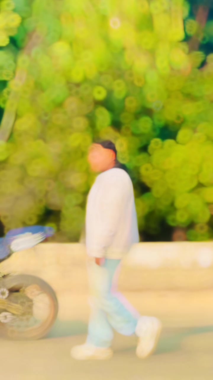@𝚋𝚞𝚗𝚗𝚢