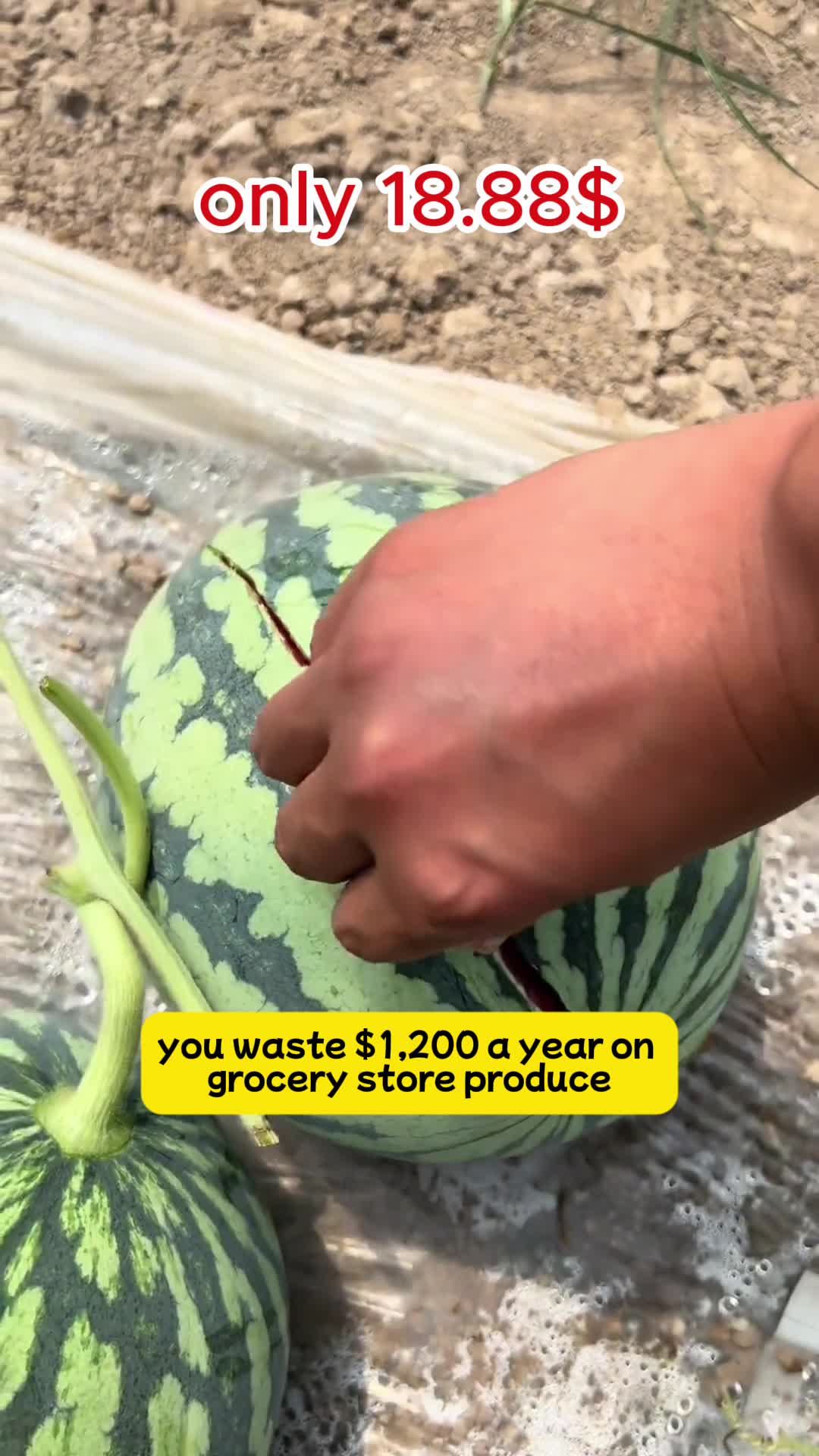 @1
