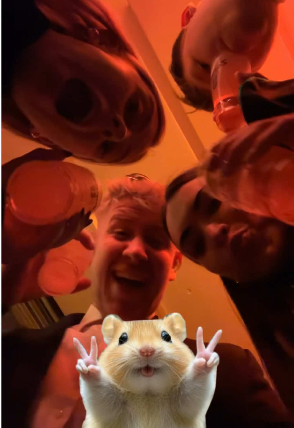 @𝓙𝓪𝓷𝓪