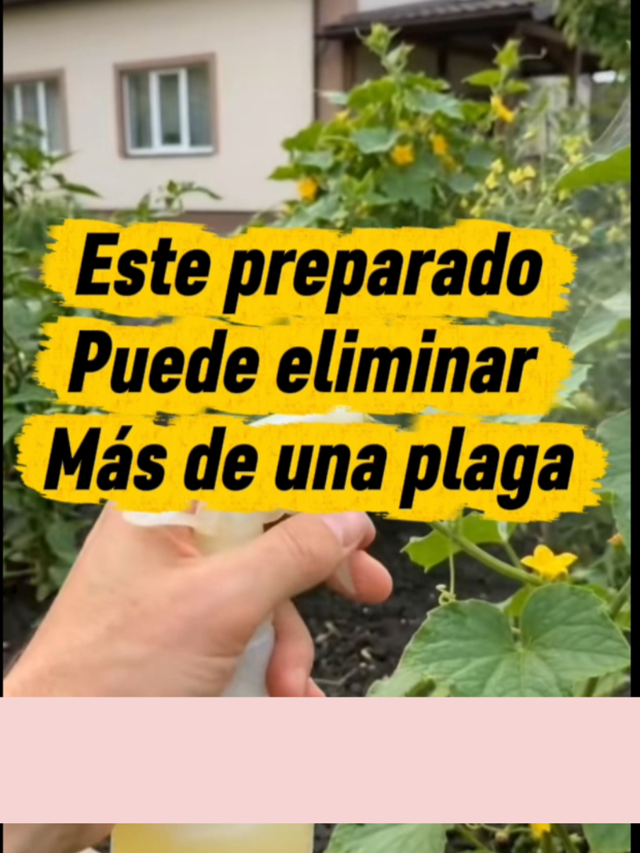 @Osshira| Jardineria y Huerto