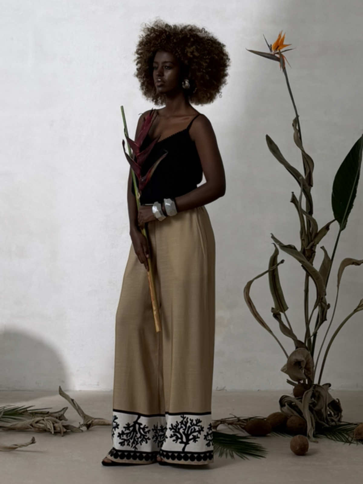 @zion_afro