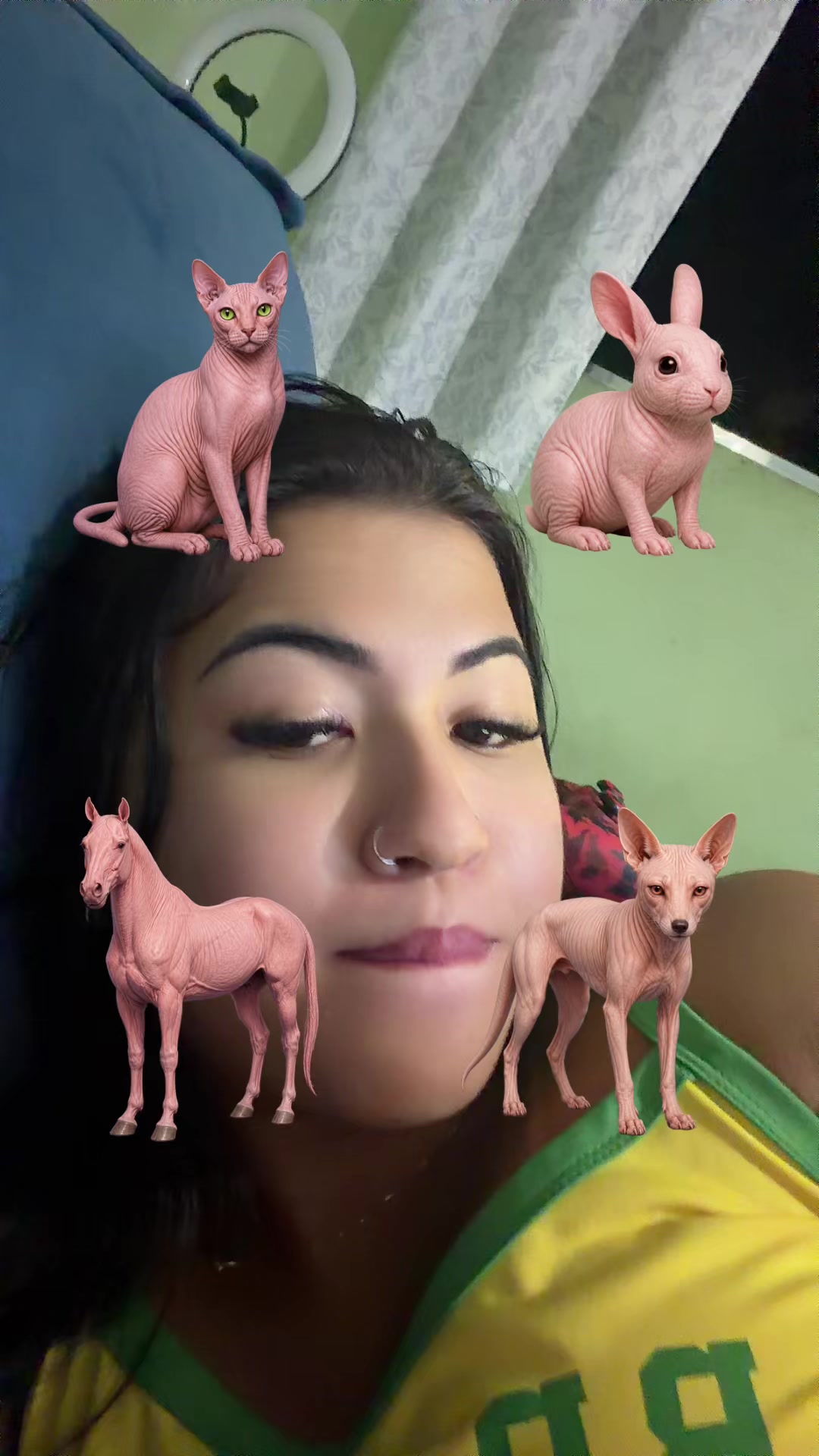 @clara4ii