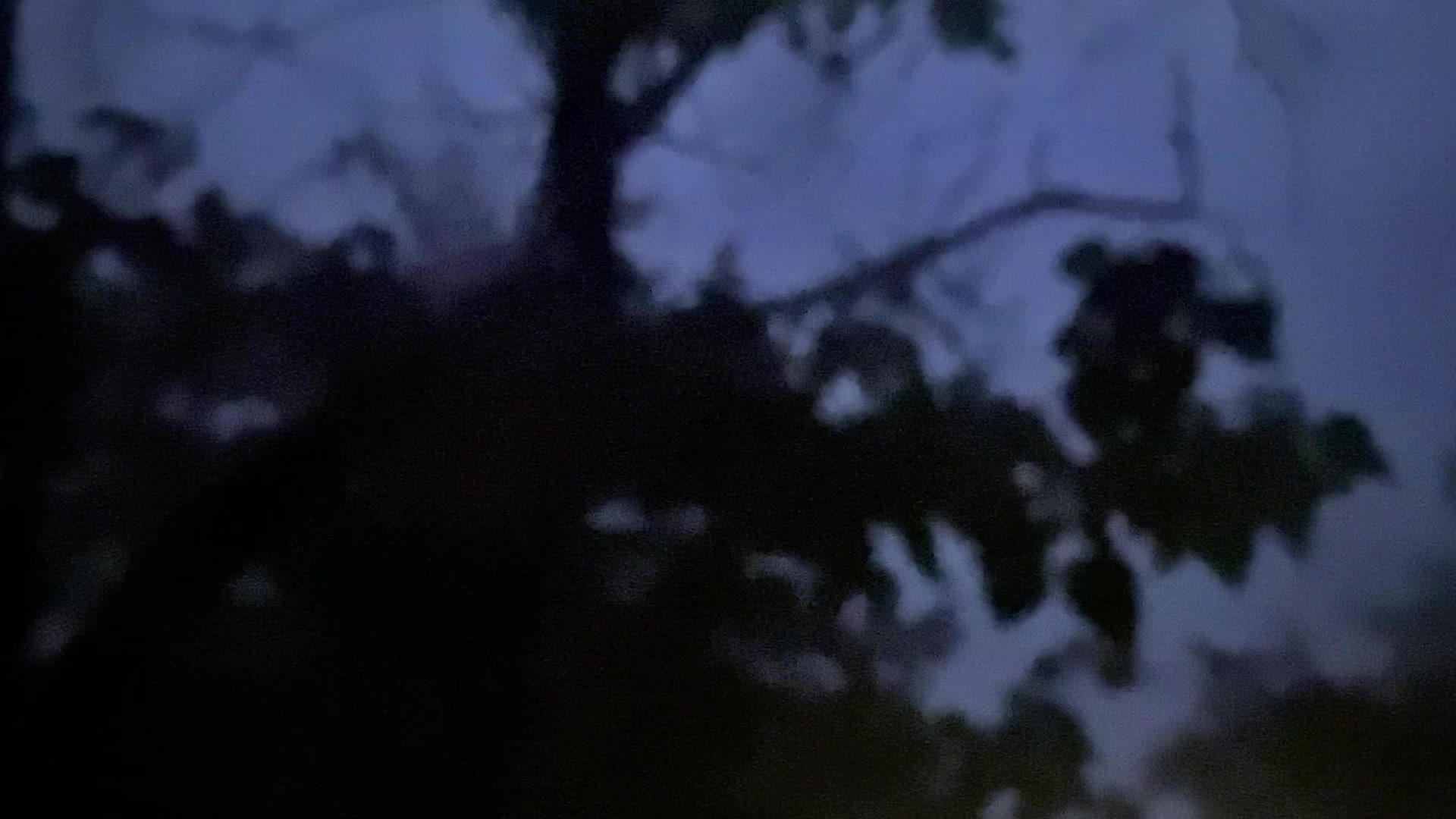 @່
