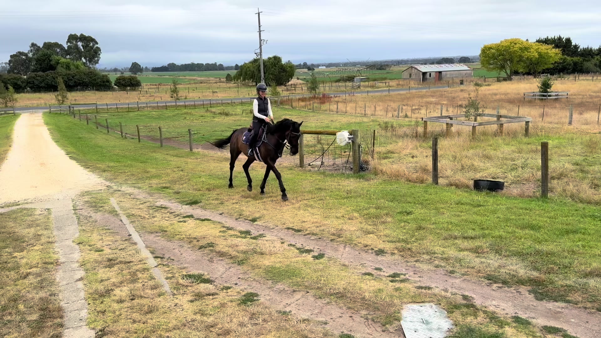 @skye.oequestrian38