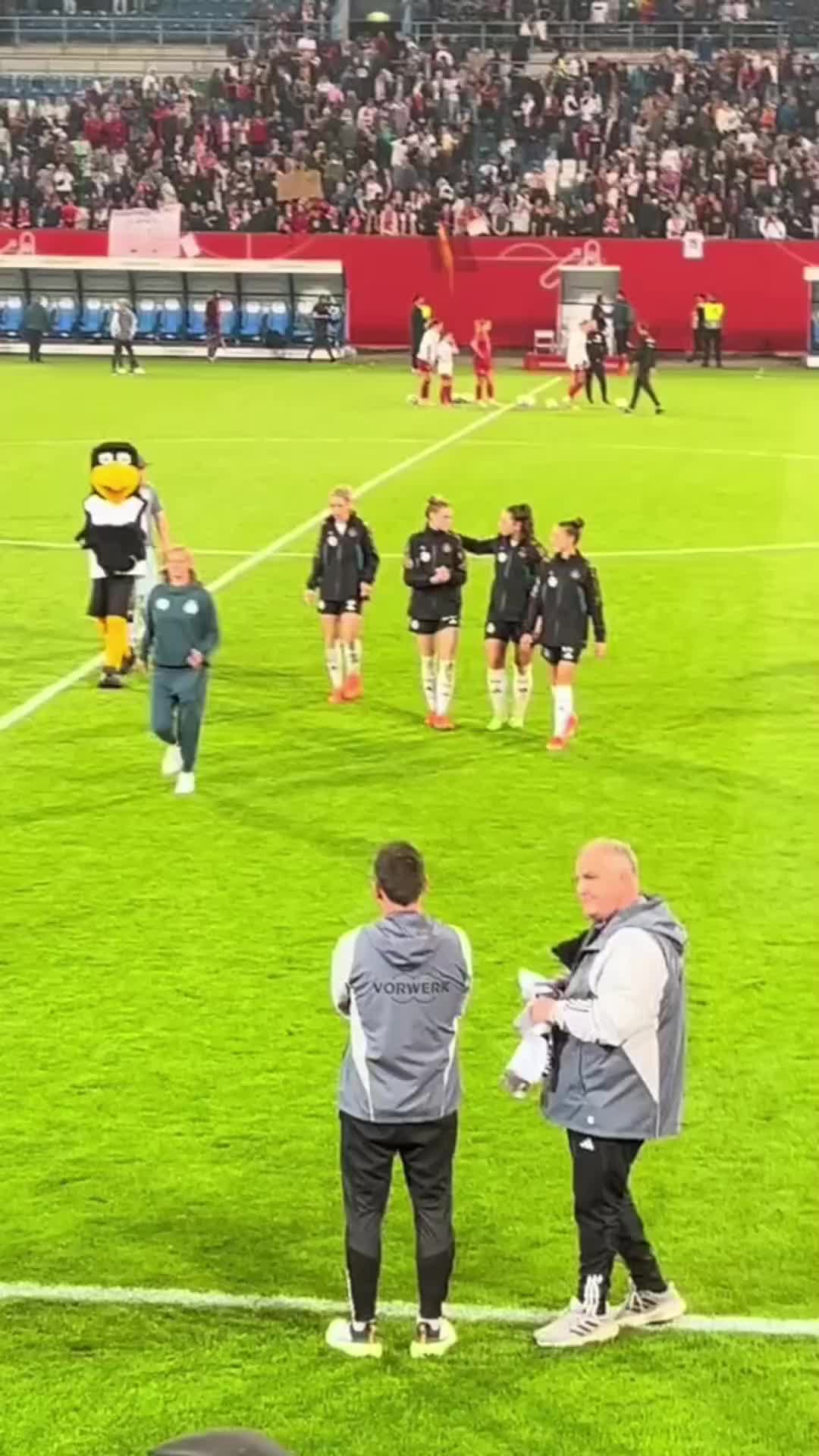 @edit f&uuml;r fussball
