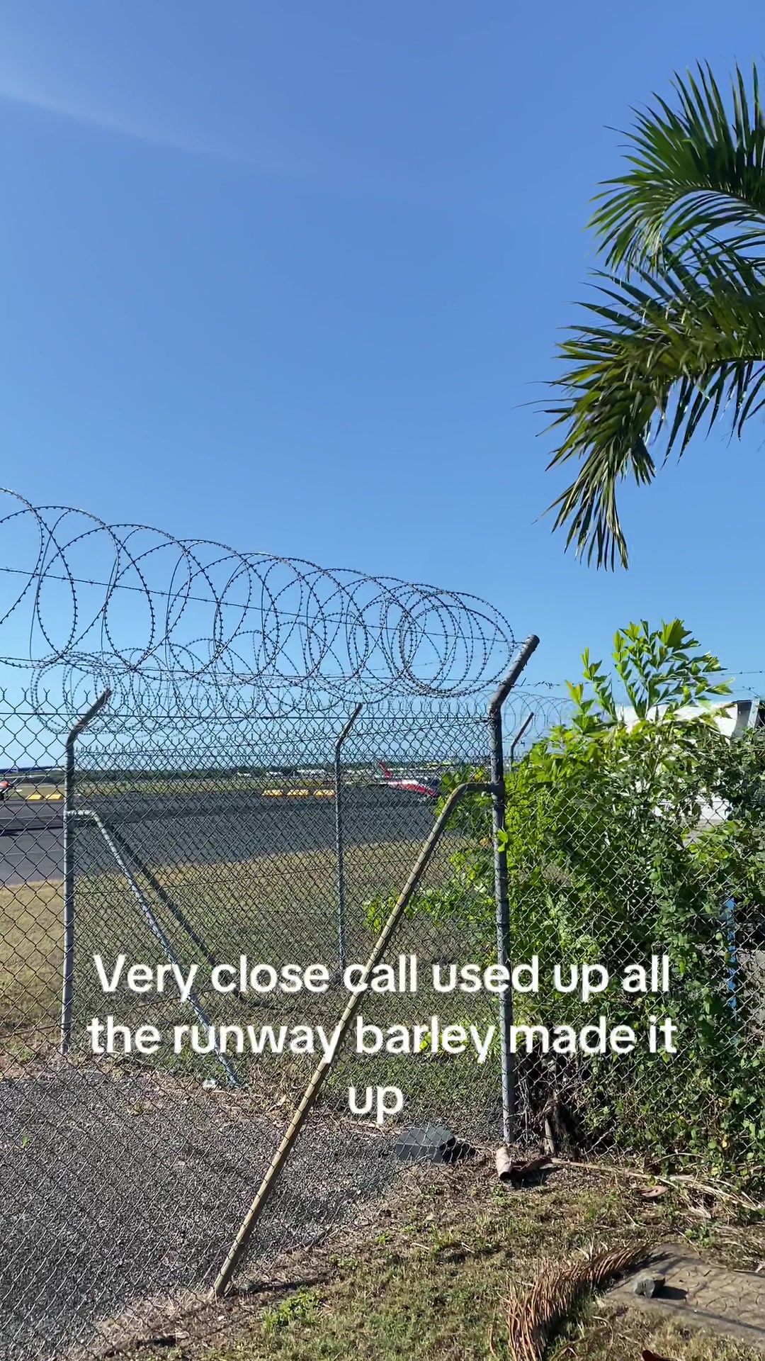 @benji_and_the_Jets737