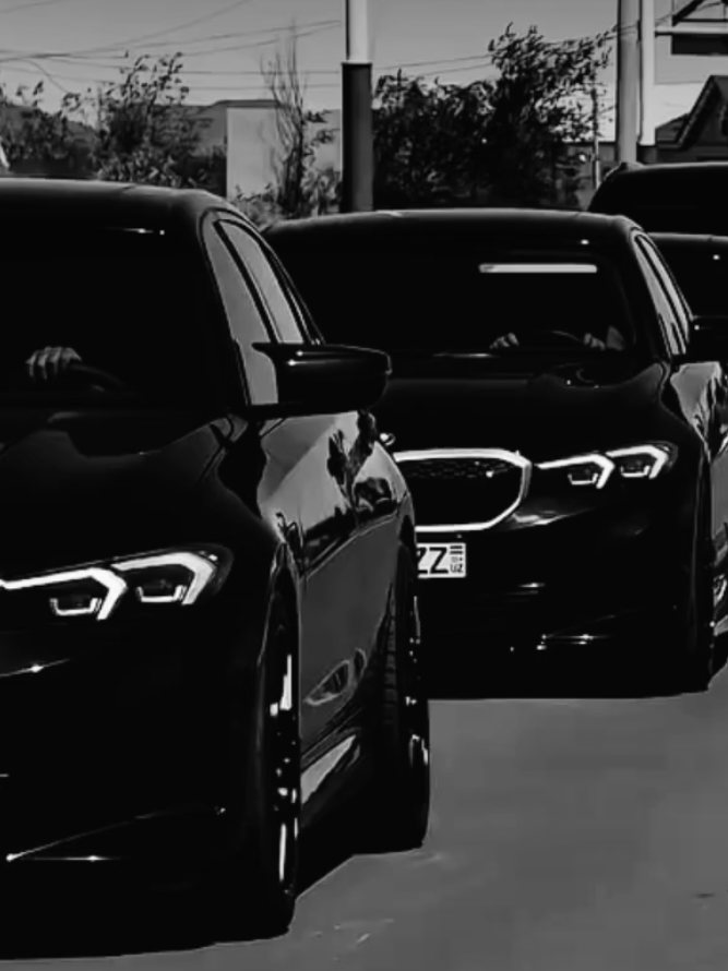 @MafiaCars
