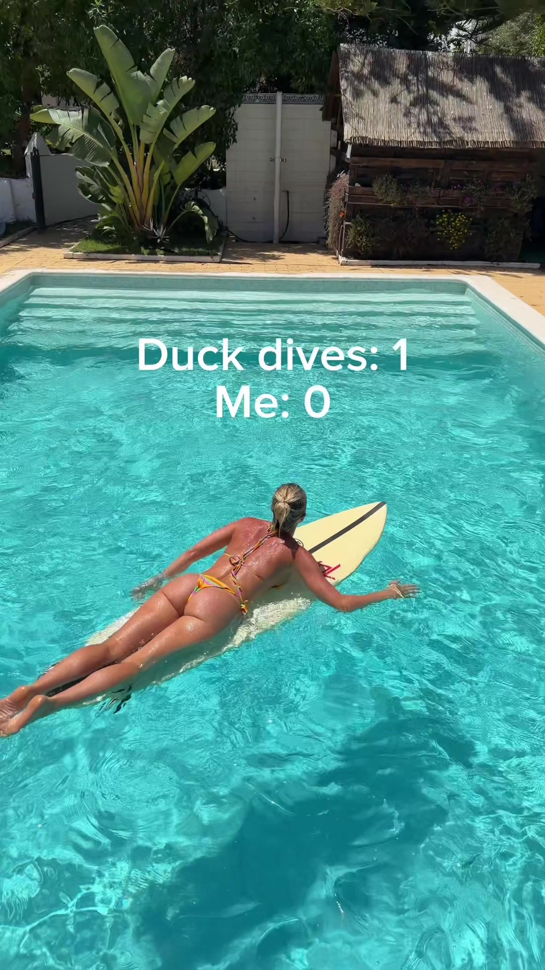 @beachbumblaine