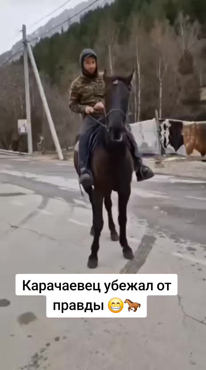 @Хаширова 👑⚔️