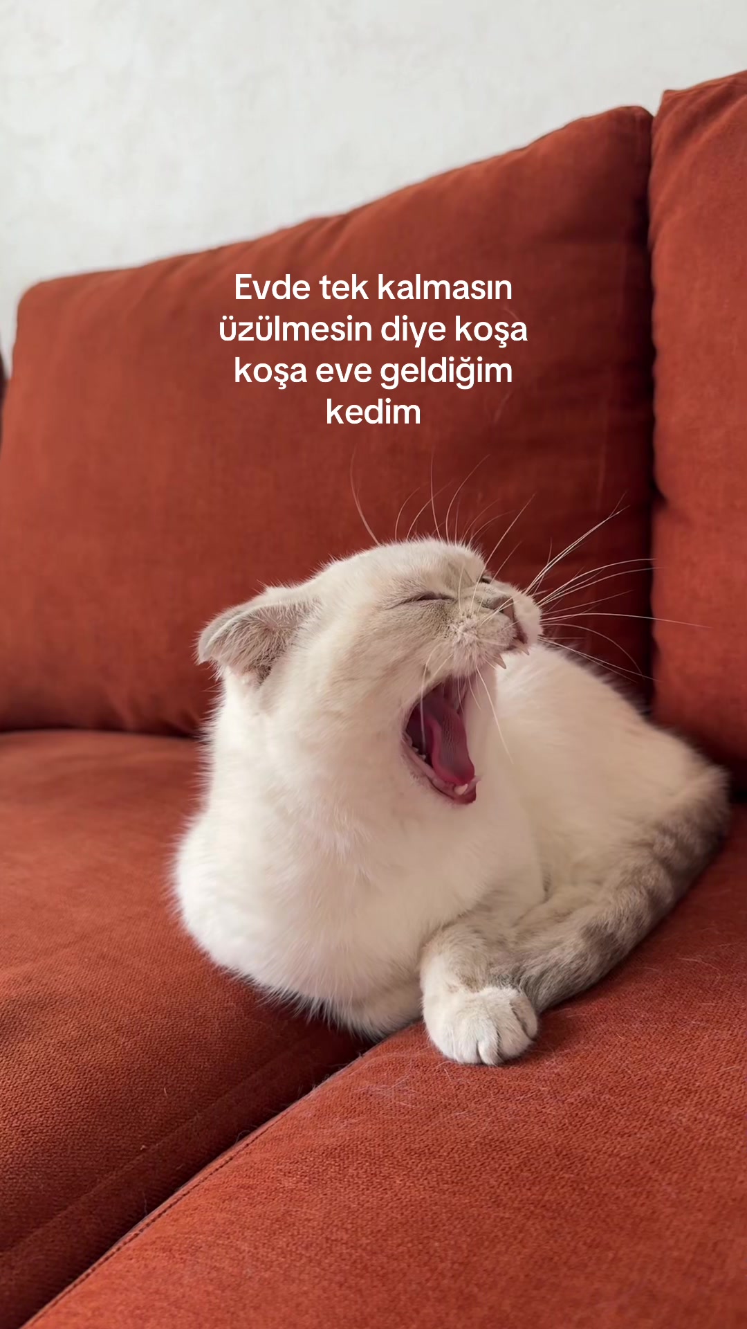 @Tuğba🫒