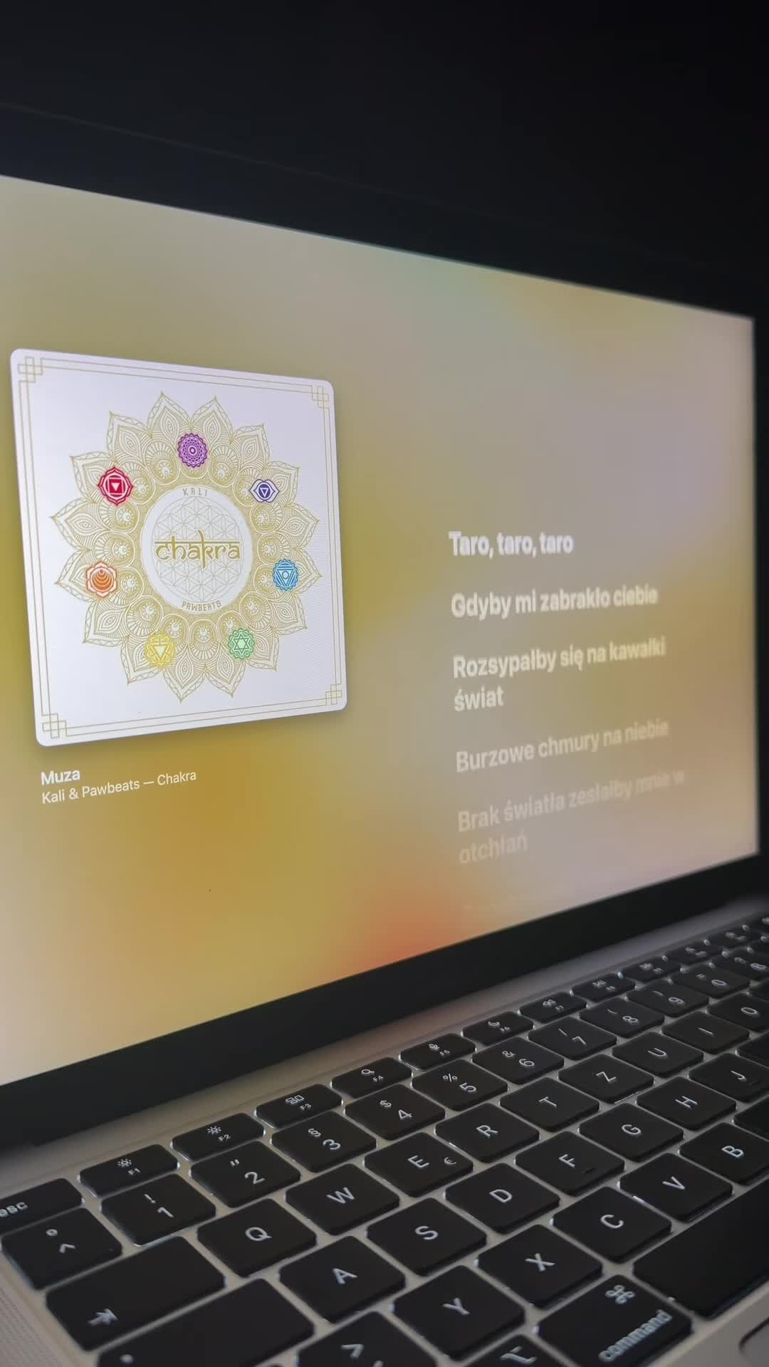 @polisch vibesongs