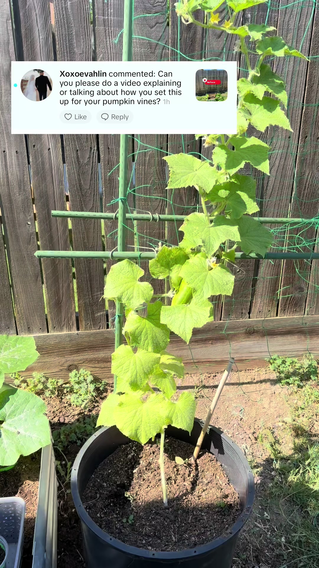 @plantingwithe