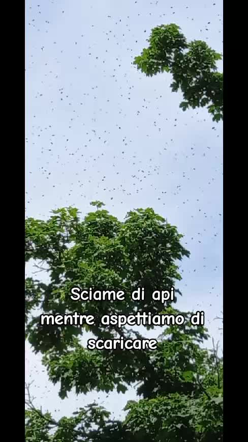 @Tiziana