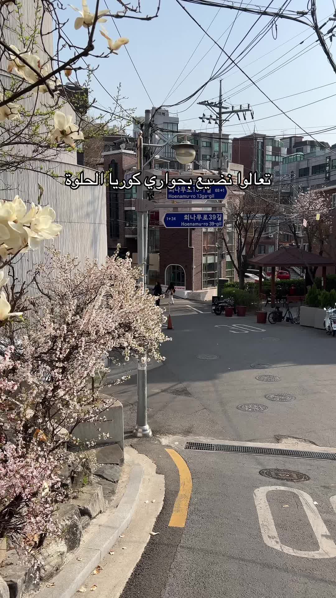 @شذى القحطاني 🕊