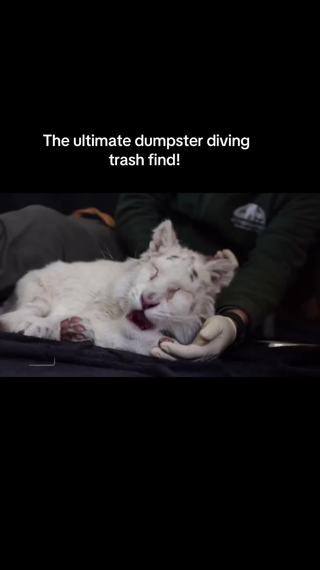 @CreaturePreacher
