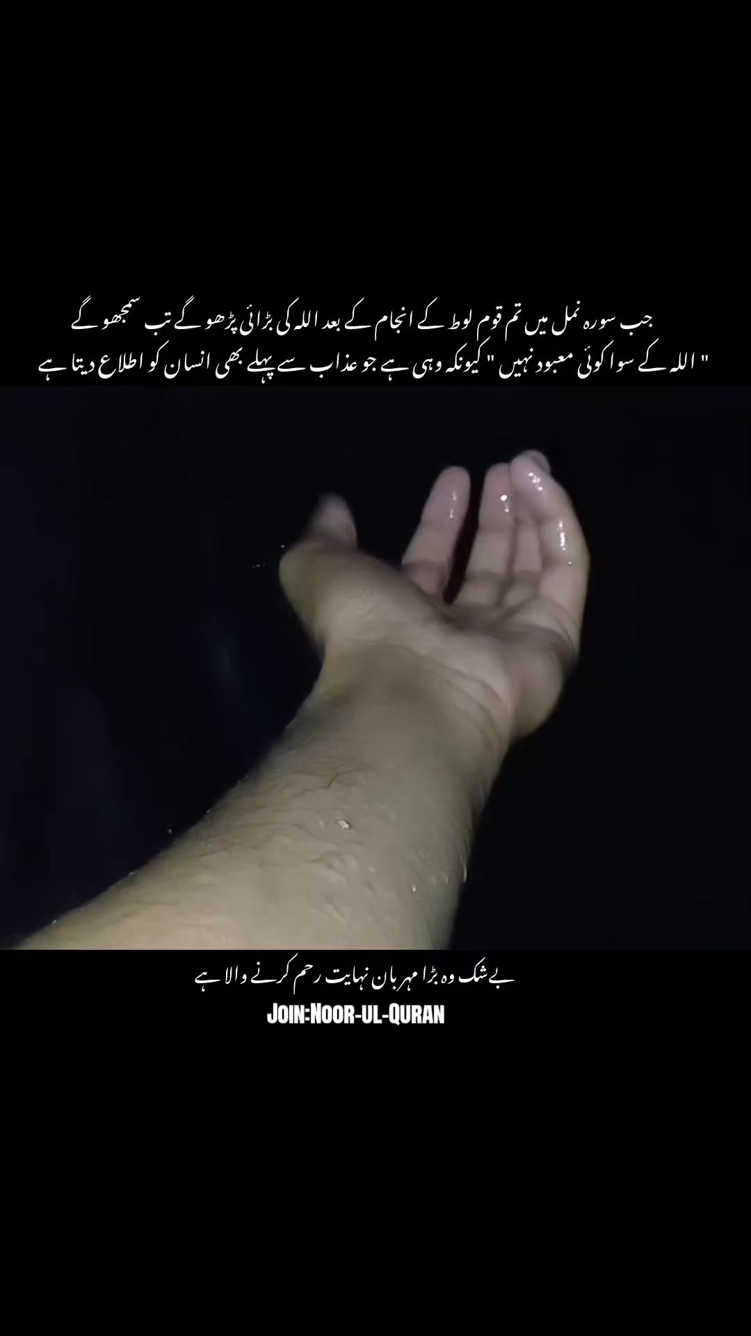@قیس ✨🤍