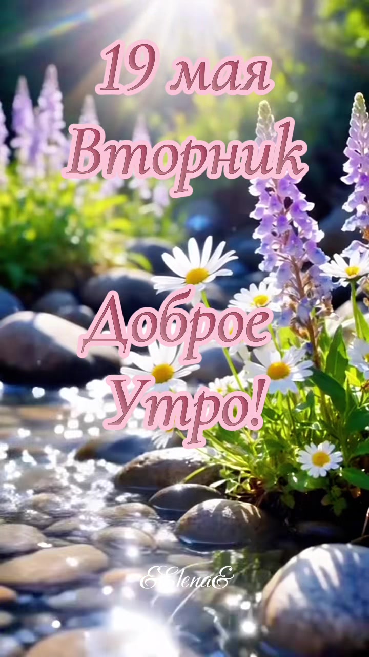 @Elena Skvortsova