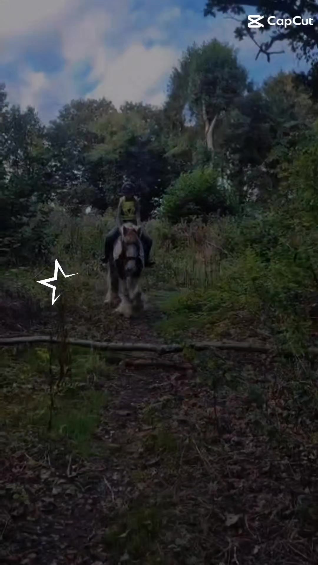 @🐎🩷Alexa and bobby 🩷🐴