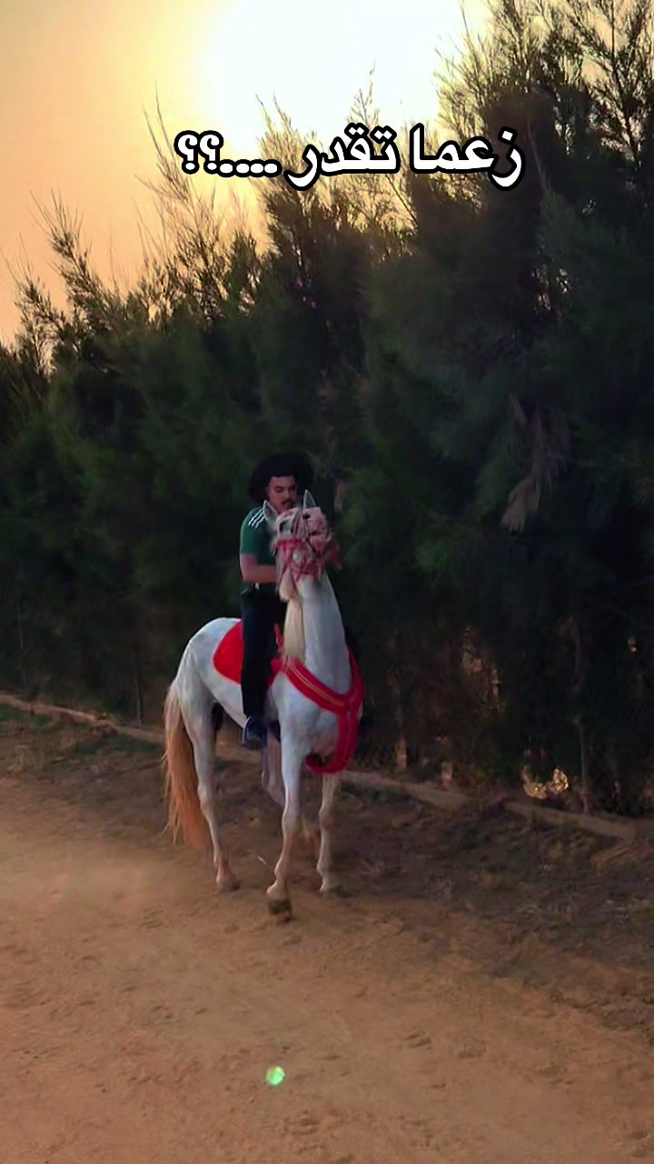 @Algerie_tourisme_dz